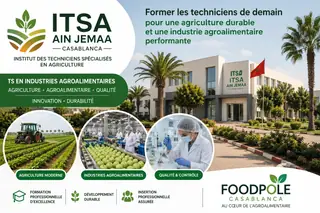 Institut des Techniciens Spécialisés en Agriculture d’Ain Jemaa – Nouaceur Casablanca (ITSA Ain Jemaa / FOODPOLE Casablanca)